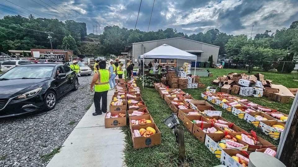 A box of fresh groceries